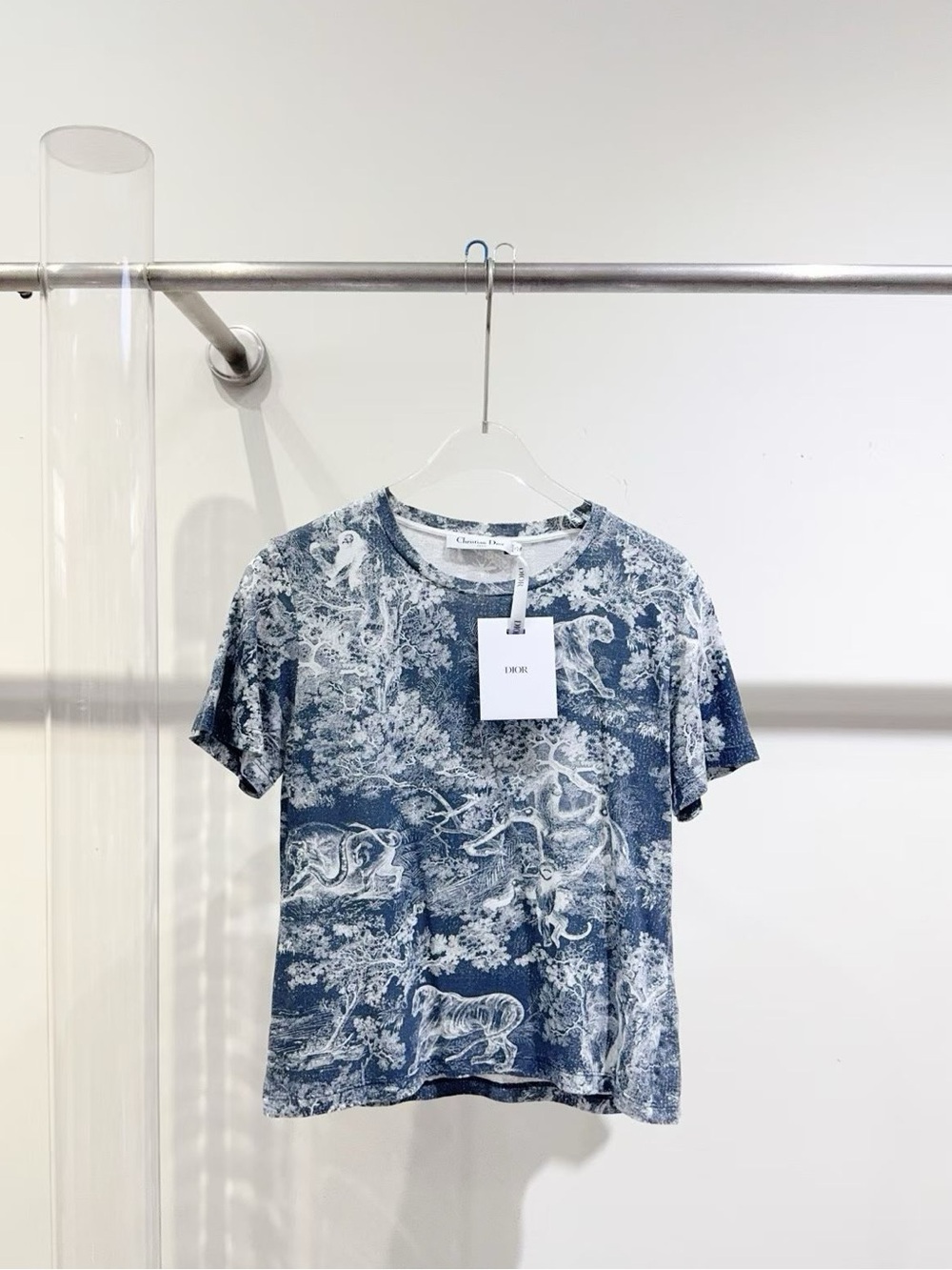 Dior Blue and White  Short Sleeve Printed Tee